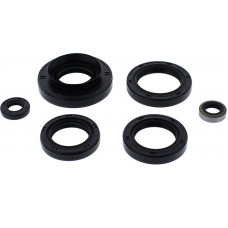 OIL SEAL SET
