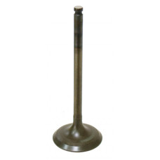 INTAKE VALVE