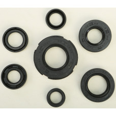OIL SEAL SET