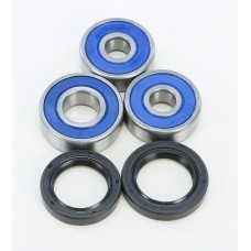 WHEEL BEARING & SEAL KIT