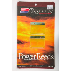 MOTORCYCLE REEDS