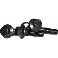 12 POINT REAR ROTOR BOLTS BLACK  3/8-16X1