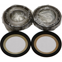 STEERING BEARING/SEAL KIT