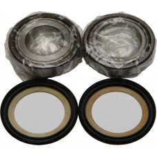 STEERING BEARING/SEAL KIT