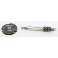 PRIMARY GEAR 15/50 PRIMARY GEAR 15/50