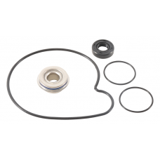 WATER PUMP REBUILD KIT