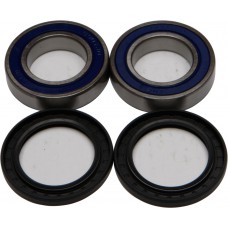 WHEEL BEARING & SEAL KIT