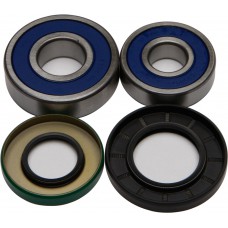 WHEEL BEARING & SEAL KIT