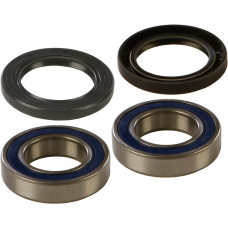 WHEEL BEARING & SEAL KIT
