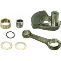 CRANK WEB W/ROD POL
