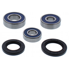 WHEEL BEARING & SEAL KIT