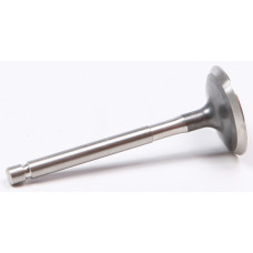 INTAKE VALVE STEEL YAM