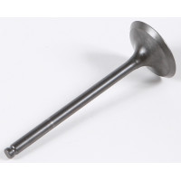 EXHAUST VALVE