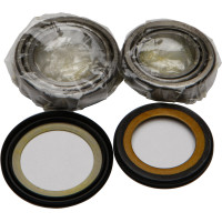 STEERING BEARING/SEAL KIT
