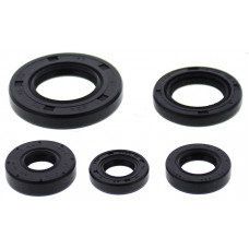 OIL SEAL SET