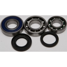 CHAIN CASE BEARING & SEAL KIT