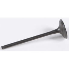INTAKE VALVE