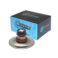EFI FUEL PRESSURE REGULATOR