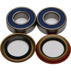 WHEEL BEARING & SEAL KIT