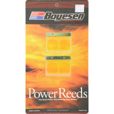 MOTORCYCLE REEDS
