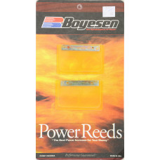 MOTORCYCLE REEDS