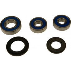 REAR WHEEL BEARING/SEAL KIT