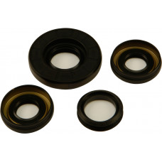 DIFFERENTIAL SEAL KIT
