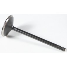 BLACK DIAMOND INTAKE VALVE DIAMOND XL 04-14 BLACK DIAMOND INTAKE VALVE DIAMOND XL 04-14