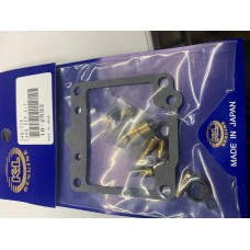 CARB REPAIR KIT (EA)