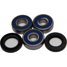 REAR WHEEL BEARING/SEAL KIT