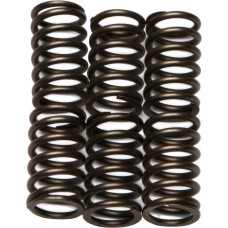 CLUTCH SPRINGS CSK88