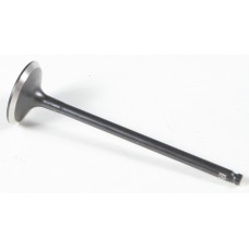 BLACK DIAMOND INTAKE VALVE BLACK DIAMOND INTAKE VALVE