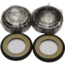 STEERING BEARING/SEAL KIT