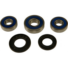 REAR WHEEL BEARING KIT