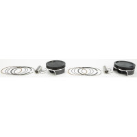 BLACK EDITION PISTON KIT TC 103 CID 9:1 +.010