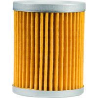 FP OIL FILTER 132