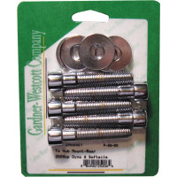PULLEY BOLTS POLISHED FXD/FLST00-06/ FLH/FLT04-06