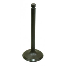 INTAKE VALVE