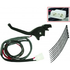 HEATED BRAKE LEVER POL