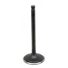 INTAKE VALVE