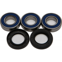 REAR WHEEL BEARING/SEAL KIT