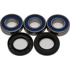 REAR WHEEL BEARING/SEAL KIT