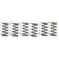 CLUTCH SPRINGS CSK165