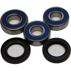 REAR WHEEL BEARING/SEAL KIT