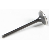 BLACK DIAMOND EXHAUST VALVE