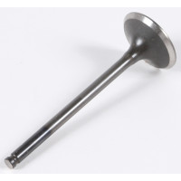 EXHAUST VALVE