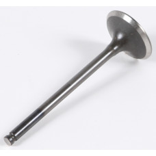 EXHAUST VALVE
