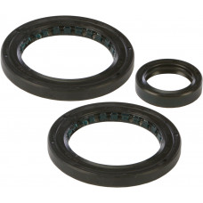 DIFFERENTIAL SEAL KIT