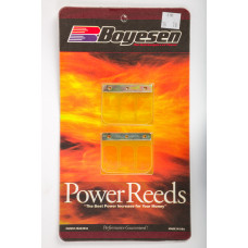 MOTORCYCLE REEDS