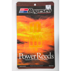 MOTORCYCLE REEDS